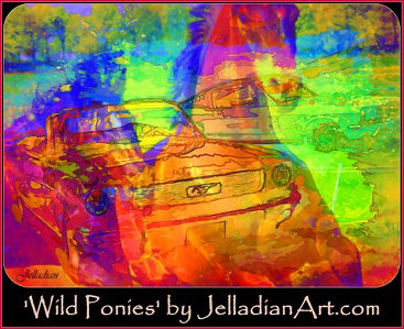 Wild Ponies